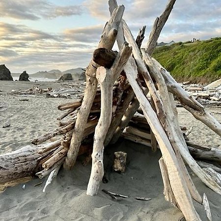 Sand Dollar Shore 布拉格堡 外观 照片